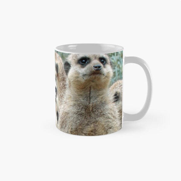Artikelvorschau, Meerkat 012 entworfen und verkauft von JAMFoto.