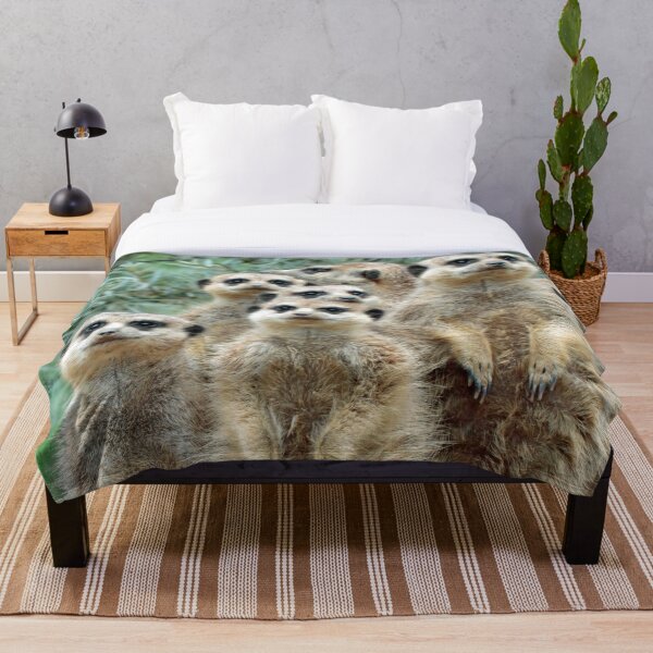 Meerkat 012 Throw Blanket