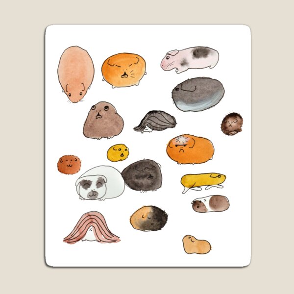Item preview, Guinea pigs designed and sold by Platypusafro.