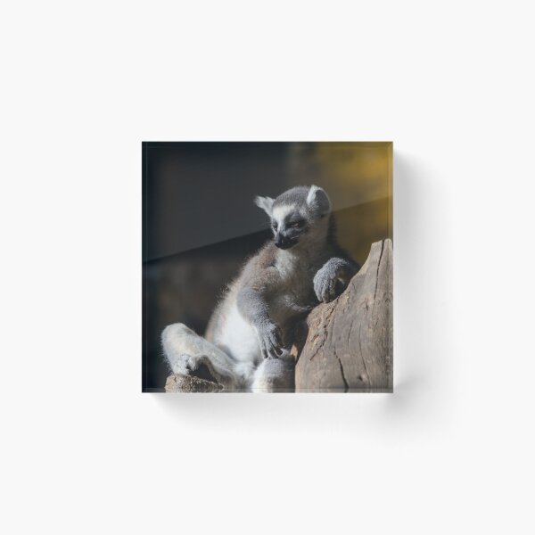 Item preview, lemur designed and sold by Danilagreca.