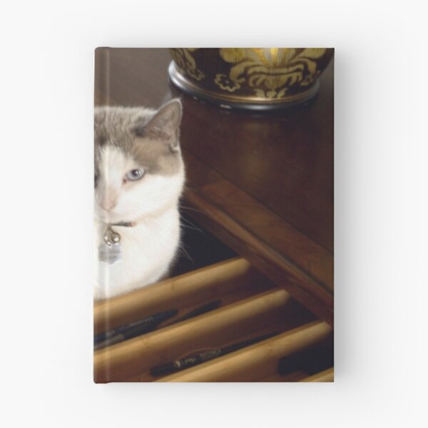 Item preview, New Bed for Misty designed and sold by webster7.