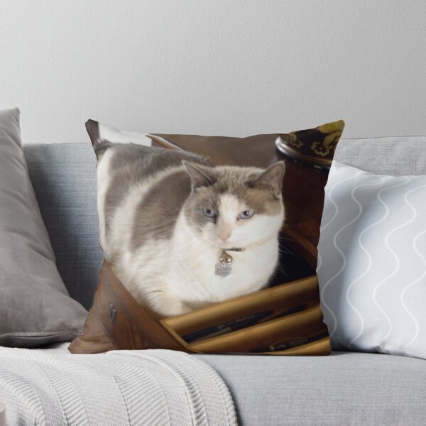 Item preview, New Bed for Misty designed and sold by webster7.