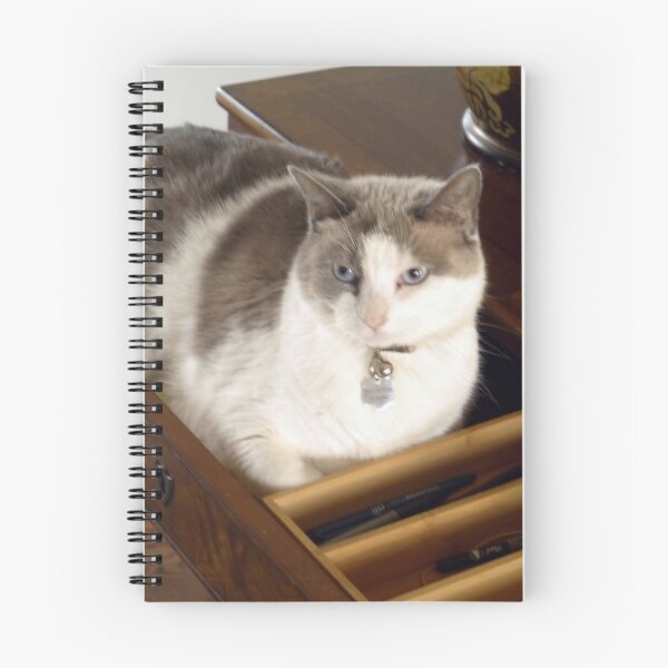 Item preview, New Bed for Misty designed and sold by webster7.