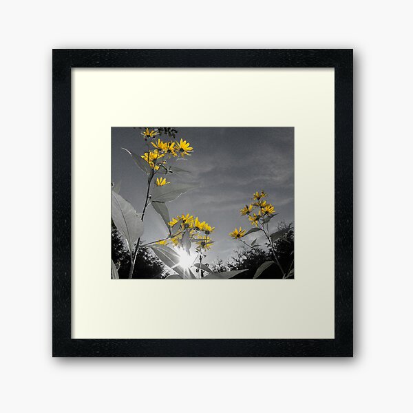 Item preview, Tournesol designed and sold by Carole Boudreau.
