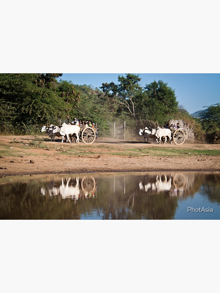 Carting Kids Home by PhotAsia