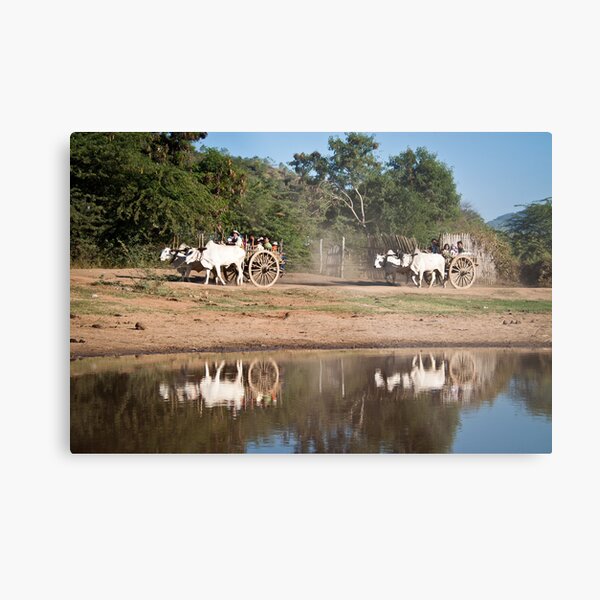 Carting Kids Home Metal Print