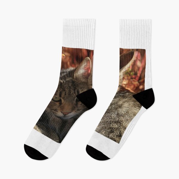 Item preview, portrait of wild cats designed and sold by olena2552.