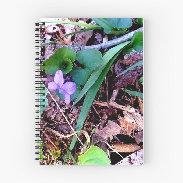 Item preview, Violets on the Mountain designed and sold by Robin Kinnard.