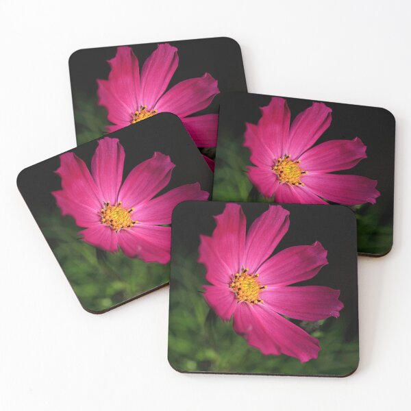 Item preview, purple cosmos flower on black background designed and sold by olena2552.