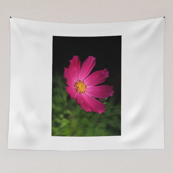 Item preview, purple cosmos flower on black background designed and sold by olena2552.