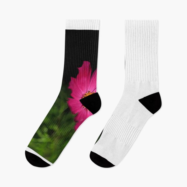 Item preview, purple cosmos flower on black background designed and sold by olena2552.