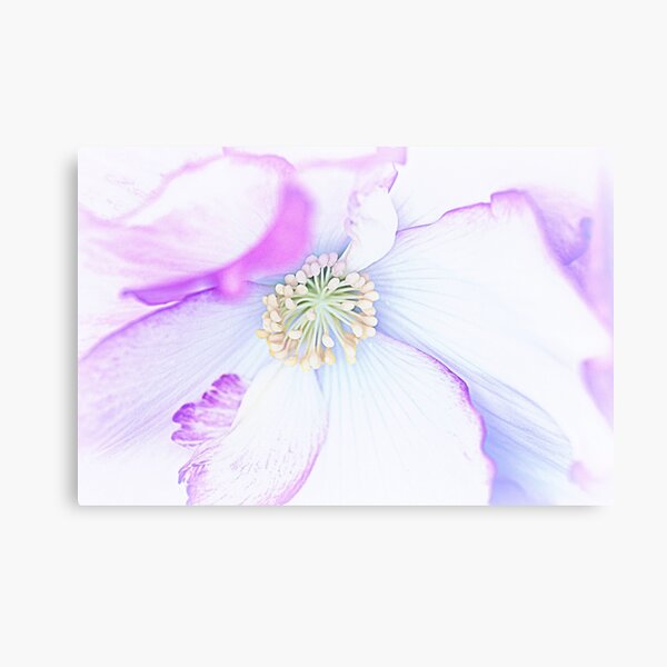 Memories Of Today.... Metal Print