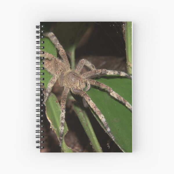 Brazilian wandering spider, Peru Spiral Notebook