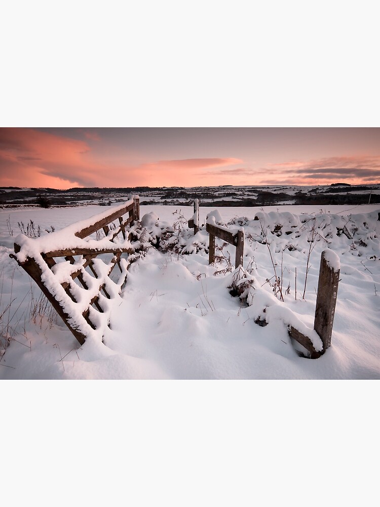 Gate by tontoshorse