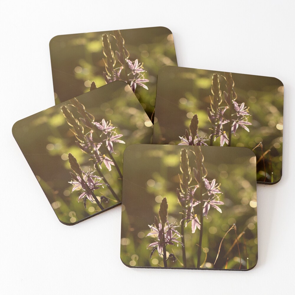 Item preview, Coasters (Set of 4) designed and sold by cuprum.