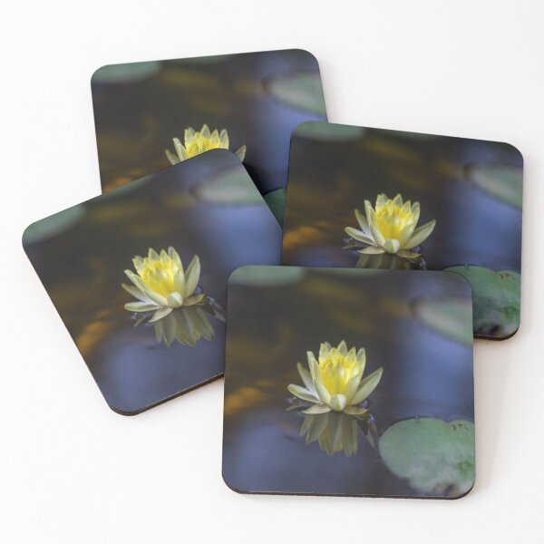 Item preview, Waterlily designed and sold by JohnDSmith.