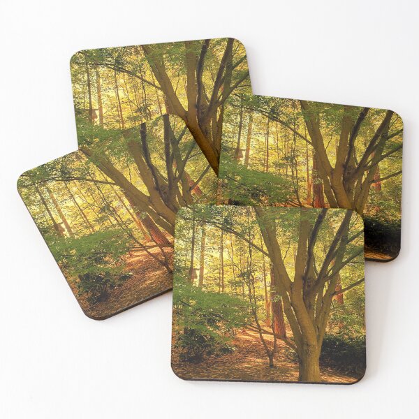 Item preview, Early Afternoon designed and sold by Vicky Walter.