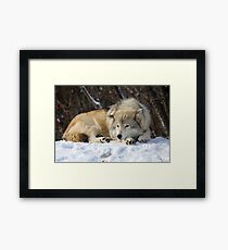 From around Montreal:greetings to Michael Cummings Framed Print