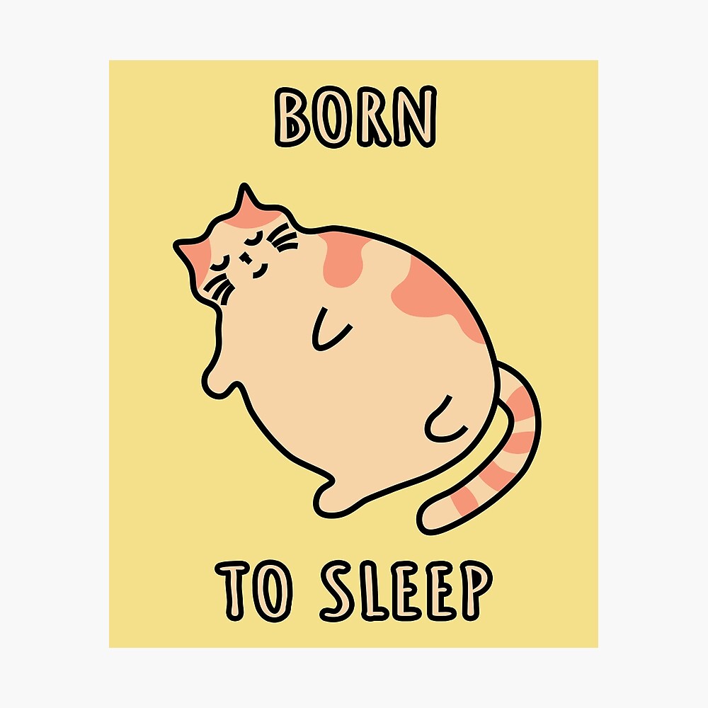 Poster Chat Chonky Ne Pour Dormir Chaton Chat Qui Dort Par Plumpjose Redbubble