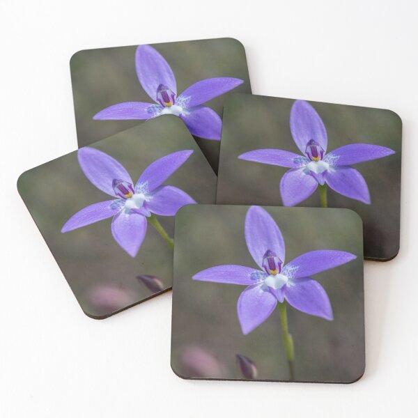 Item preview, Glossidia major designed and sold by Dana Fatchen.