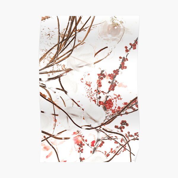 Cherry Blossoms Poster