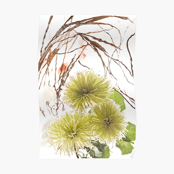 Green Spring Poster