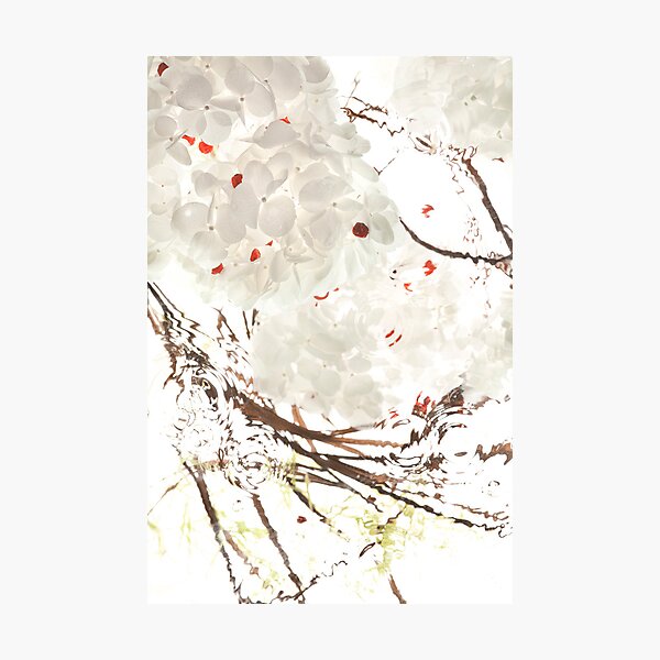Snow Leaves Photographic Print