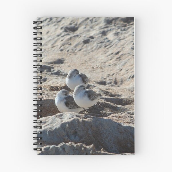 Item preview, Trio of Cold Sanderlings designed and sold by banditandkoko.