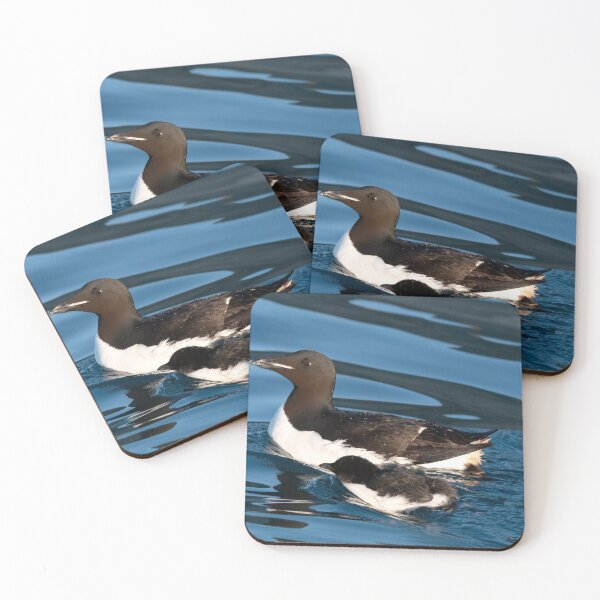 Item preview, Thick-Billed Murres of the Canadian Arctic designed and sold by Marylou Badeaux.
