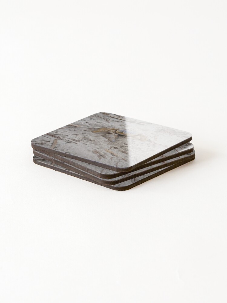 Thumbnail 4 of 5, Coasters (Set of 4), That's My Shell designed and sold by Rkwkinnard.