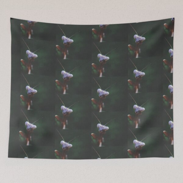 Item preview, Praying Mantis designed and sold by AutumSasala.