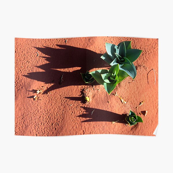 desert green Poster