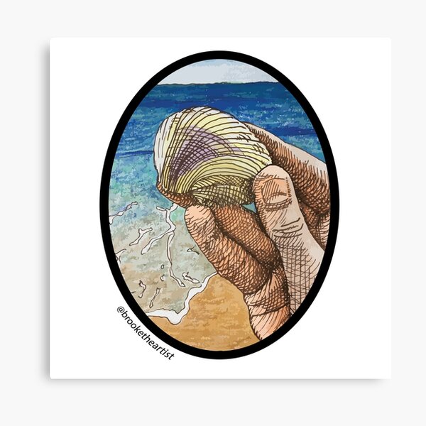 She Sells Seashells Wall Art | Redbubble