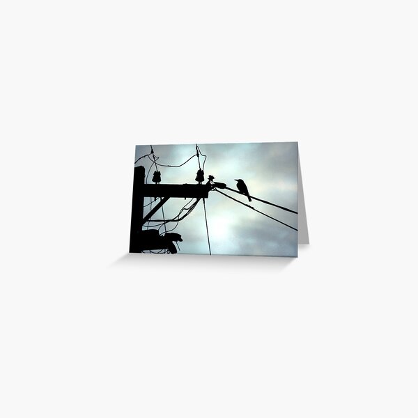 top of the morning 2 Greeting Card