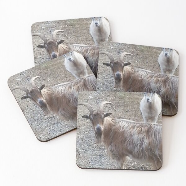Item preview, What are you Looking at? designed and sold by Robin Kinnard.