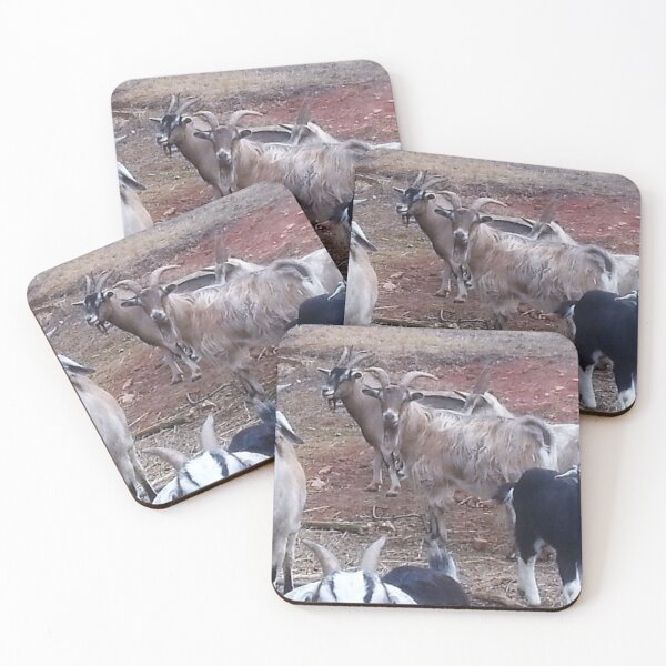 Item preview, Sven and the Gang designed and sold by Robin Kinnard.
