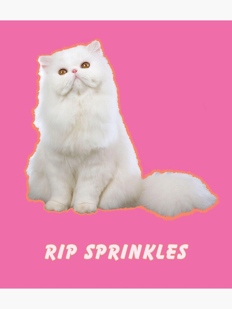 RIP Sprinkles, Angela's cat from the office