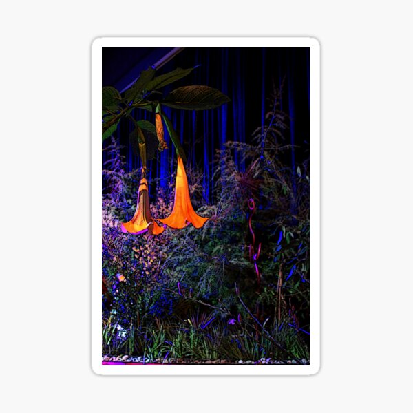 Golden Bells Sticker