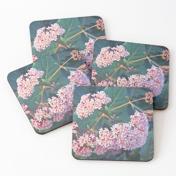 Item preview, Spirea designed and sold by Margaret Stevens.