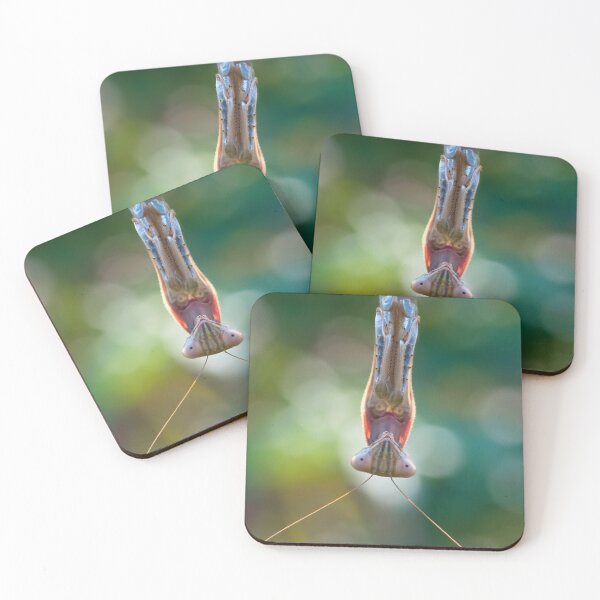 Item preview, I'm Not Upside Down, You Are designed and sold by dlamb.