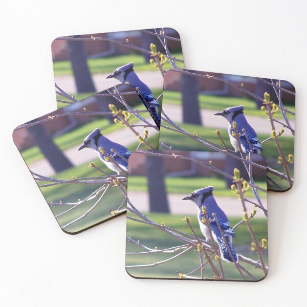 Item preview, Blue Jay's Minute designed and sold by GeekyAngel.