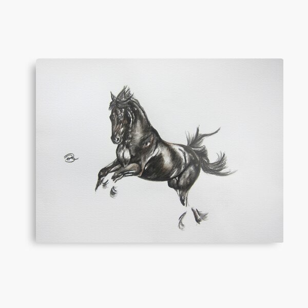 Fresian Metal Print