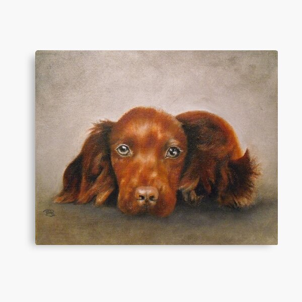 Spaniel Pup Canvas Print