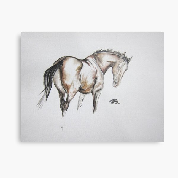 Bay Mare Metal Print