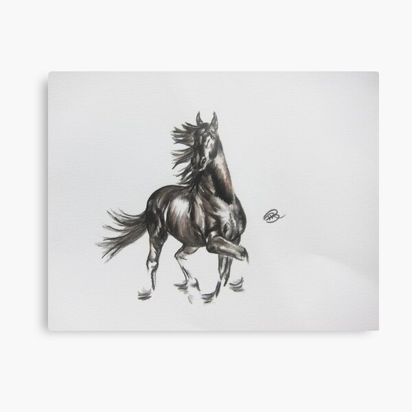 Showing Off Metal Print
