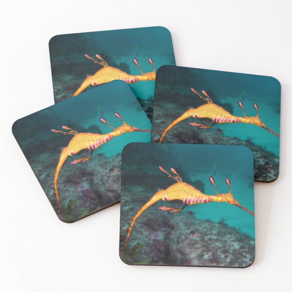Weedy seadragon Coasters (Set of 4)