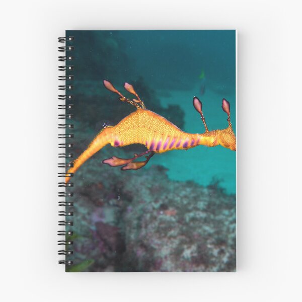 Item preview, Weedy seadragon designed and sold by John Turnbull.