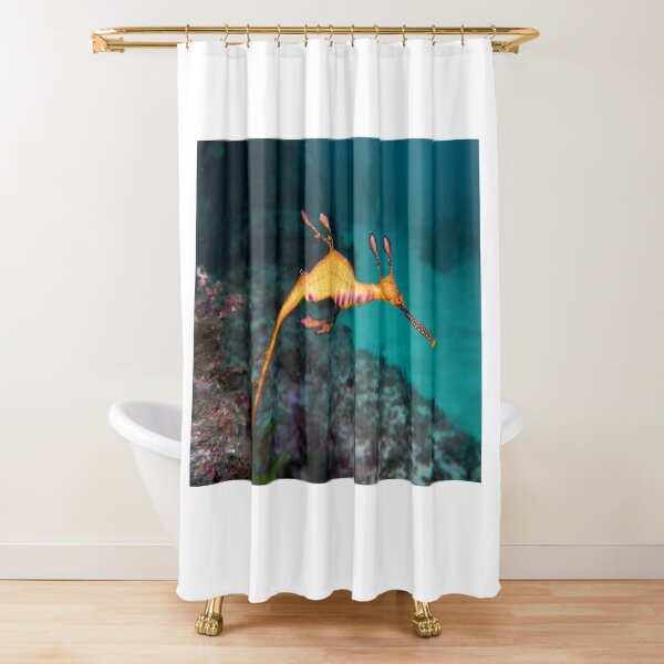 Weedy seadragon Shower Curtain