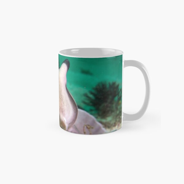 Crested hornshark Classic Mug