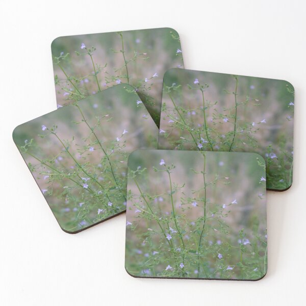 Item preview, Magical Mint Early Morning designed and sold by LizAlbroPhotos.